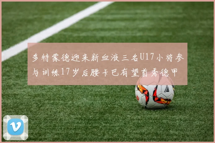 多特蒙德迎来新血液三名U17小将参与训练17岁后腰卡巴有望首秀德甲